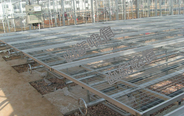 Movable Seedbed for Agricultural Greenhouse