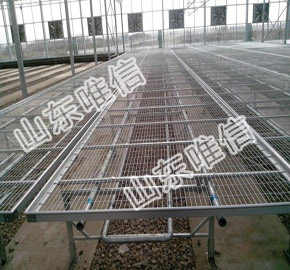 Aluminum Fixed Greenhouse Seedbed For Vegetables Planting And Flower 