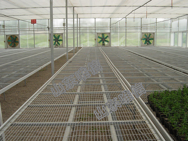Aluminum Fixed Greenhouse Seedbed For Vegetables Planting And Flower 