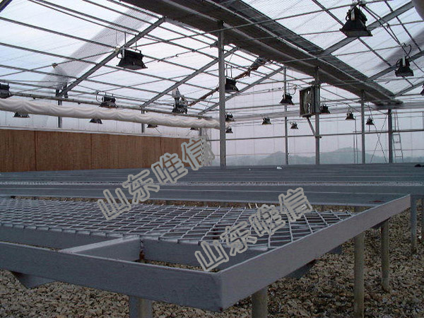 Aluminum Fixed Greenhouse Seedbed For Vegetables Planting And Flower 