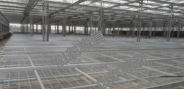 Agricultural Greenhouse Seedling Seedbed For Flower