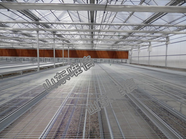 Agricultural Greenhouse Seedling Seedbed For Flower