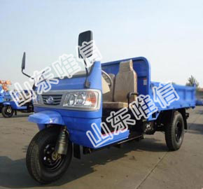 Agricultural Use Diesel Engine Dumper Cargo Tricycle