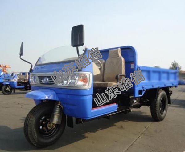 Agricultural Use Diesel Engine Dumper Cargo Tricycle