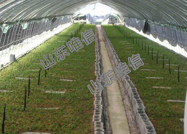 Ground-Inserted Type Of Type Micro Sprinkler