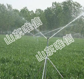 Field Sprinkler Irrigation Used in Farm