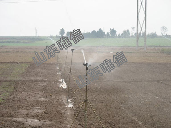 Field Sprinkler Irrigation Used in Farm