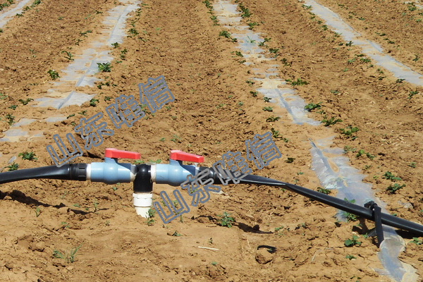Agricultural Drip Irrigation Tape under Plastic Film for Crops and Fruit Trees