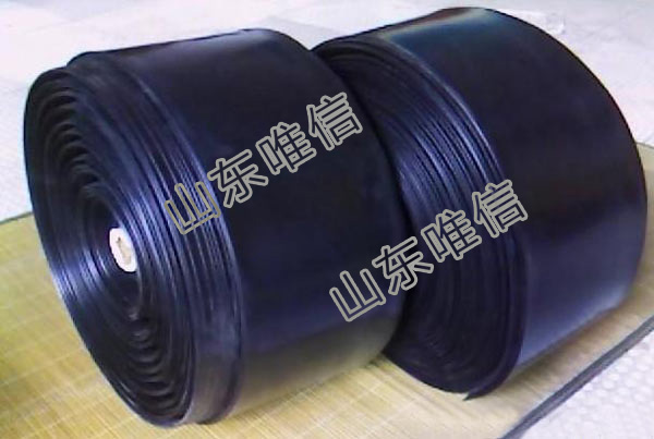 10 Inch Agricultural Irrigation High Quality Pressure Hose