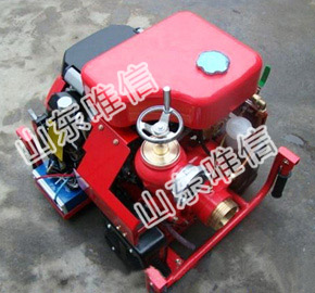 Easy Move Diesel Engine Fire Fighting Pump