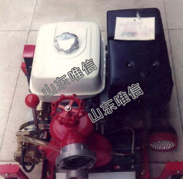 Portable Hand Lift Motor Fire Pump