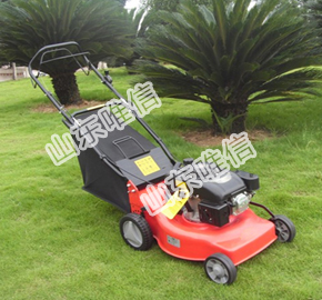 Gasoline Lawn Mower with Honda GXV160 Original Engine