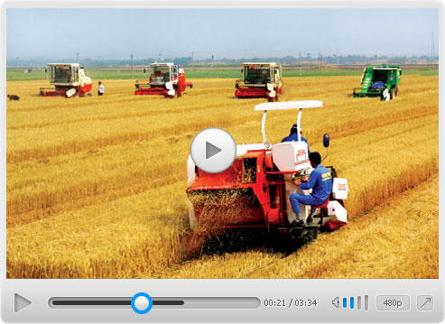 Mini Rice Wheat Combine Harvester