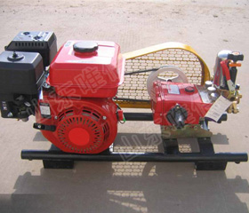 Orchard Pesticide Gasoline Engine Big Power Sprayer