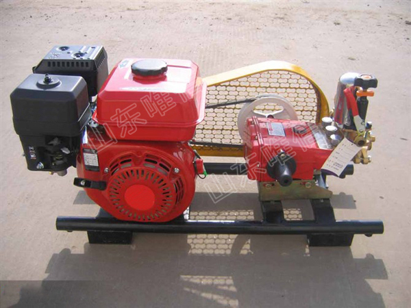 Orchard Pesticide Gasoline Engine Big Power Sprayer