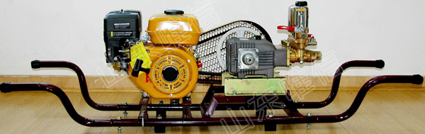 Orchard Pesticide Gasoline Engine Big Power Sprayer