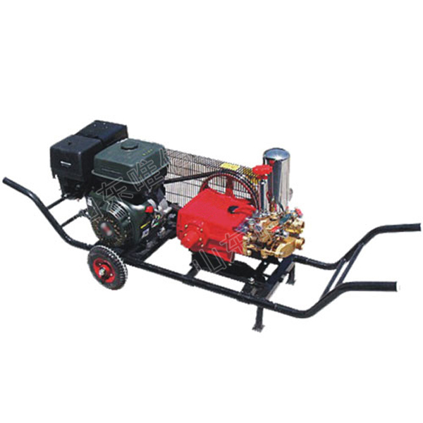Orchard Pesticide Gasoline Engine Big Power Sprayer
