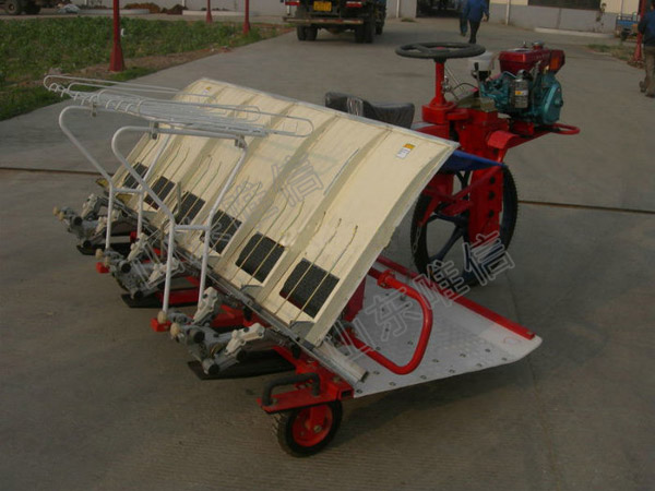 6 Rows Rice Transplanter