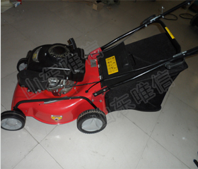 Hand Push Gasoline Lawn Mower