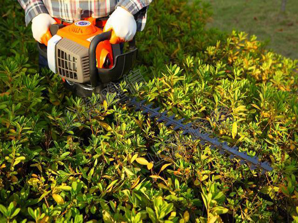 18V Li-ion Battery Cordless Electric Hedge Trimmer