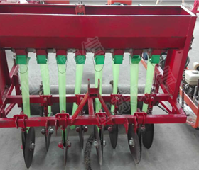 6 Rows Garlic Planter