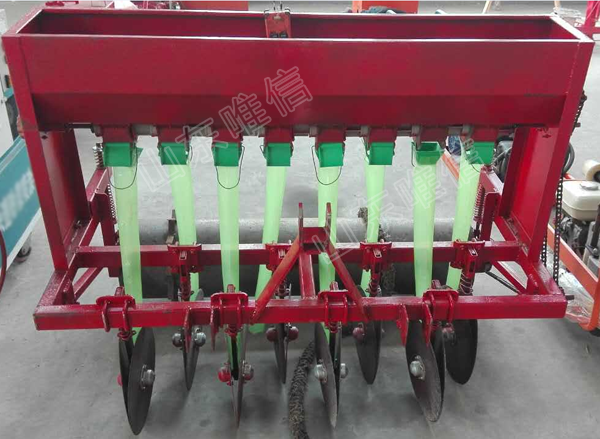 6 Rows Garlic Planter