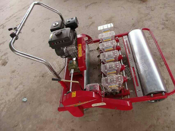 Gas Seed Planter For Seasame,Carrot,Beet