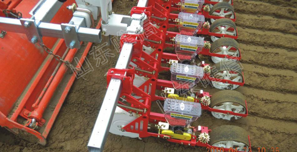  Vegetable Seed Planter 