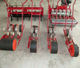  Vegetable Seed Planter 