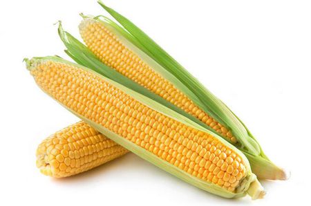 Misconceptions About Corn