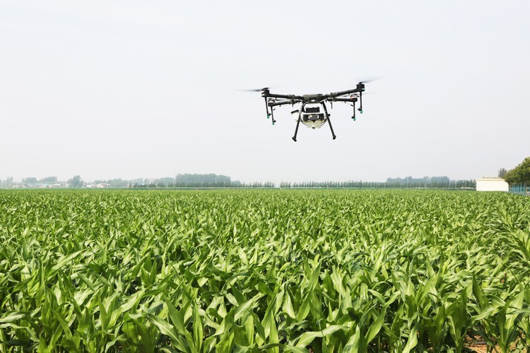 Shandong Weixin Company The UAV Plant Protection Team Serves Agriculture,Rural Areas And Farmers And Helps Rural Revitalization